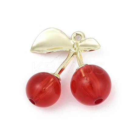 Alloy & Acrylic Pendants PALLOY-S053-01LG-A-1