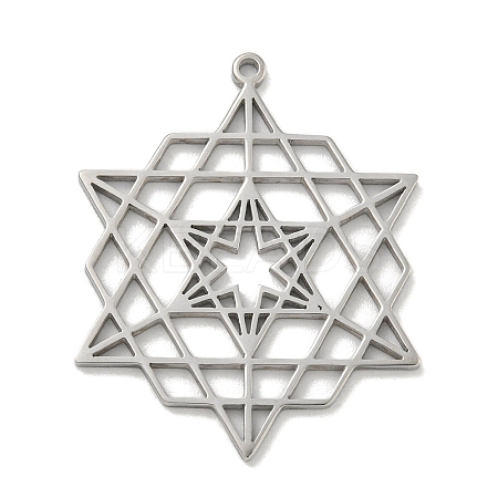 304 Stainless Steel Pendants STAS-M067-09P-1