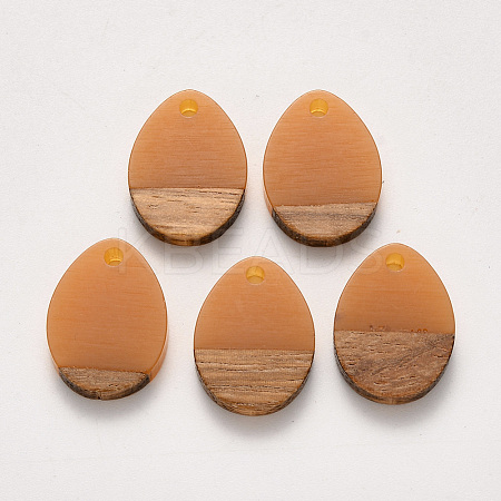 Transparent Resin & Walnut Wood Pendants X-RESI-S358-15-B02-1