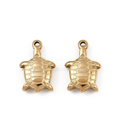 304 Stainless Steel Charms STAS-F322-07G-1