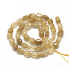 Natural Gold Rutilated Quartz Beads Strands G-R445-6x8-31-2