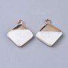 Electroplate Freshwater Shell Pendants X-SHEL-S276-64-2