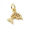 Brass Micro Pave Cubic Zirconia Charms ZIRC-F132-47G-2