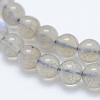 Natural Labradorite Beads Strands G-J373-14-4mm-2