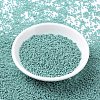MIYUKI Round Rocailles Beads X-SEED-G007-RR0481-1