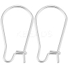 100Pcs 304 Stainless Steel Hoop Earring Findings STAS-BBC0005-94S-01-1