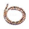 Natural Venus Jasper Beads Strands G-K293-F01-B-2