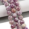 Natural Lepidolite/Purple Mica Stone Beads Strands G-G160-A01-02-2