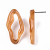 Transparent Resin Stud Earrings EJEW-T012-05-B01-4
