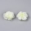 Heat Shrink Acrylic Bead Caps OACR-N155-02B-3