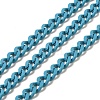Spray Painted 304 Stainless Steel Curb Chains STAS-B067-05B-06-1