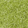MIYUKI Delica Beads SEED-J020-DB1888-3