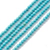 Natural Howlite Beads Strands TURQ-K005-01B-1
