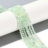 Natural Chrysoprase Beads Strands G-P542-A04-02-2