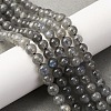 Natural Labradorite Beads Strands G-H326-01-6mm-1