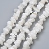 Natural White Moonstone Beads Strands X-G-P332-01-3