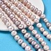 Natural Cultured Freshwater Pearl Beads Strands PEAR-I007-07S-01B-1