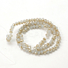 Electroplate Glass Faceted Rondelle Beads Strands EGLA-D020-3x2mm-64-2
