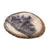 Printed Natural Agate Slice Stone Ornament DJEW-M011-04B-2