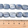 Natural Kyanite Beads Strands G-H335-I01-10x12mm-5