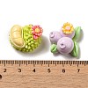 Flower Fruit Opaque Resin Decoden Cabochons CRES-P033-01-3