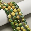 Dyed Natural Agate Beads Strands G-G203-09G-10mm-1