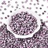 Picasso Glass Seed Beads SEED-N010-01K-2