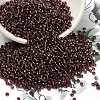 Indigo 11/0 Round Transparent Glass Seed Beads X-SEED-Q007-F57-1