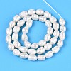 Natural Cultured Freshwater Pearl Beads Strands PEAR-T006-19B-3