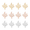 12Pcs 3 Colors 304 Stainless Steel Pendants STAS-DC0002-84-1