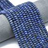 Dyed Natural Lapis Lazuli Beads Strands G-P575-A46-6x4mm-02-1