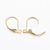 304 Stainless Steel Leverback Earring Findings X-STAS-L190-14G-2