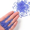 8/0 Round Glass Seed Beads SEED-US0003-3mm-166-4