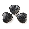 Heart Natural Larvikite Palm Stones G-C134-06A-25-1