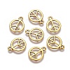 Tibetan Style Alloy Charms LS-GLF11179Y-1