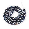 Natural Cultured Freshwater Pearl Beads Strands PEAR-N014-06G-04-3