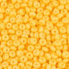 Opaque Glass Seed Beads SEED-N012-09A-04-3