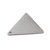 Tarnish Resistant 304 Stainless Steel Pendants STAS-F271-08C-P-3