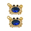 304 Stainless Steel Rhinestone Charms STAS-H242-05G-06-1