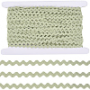 Polyester Ribbon OCOR-GF0004-77B-01-1