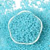 6/0 Luminous Glass Seed Beads SEED-NH0001-01N-3