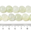 Natural New Jade Beads Strands G-H005-C16-02-5