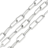 Tarnish Resistant 304 Stainless Steel Paperclip Chains CHS-F012-05P-1