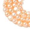 Natural Cultured Freshwater Pearl Beads Strands PEAR-C004-21B-4
