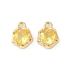 Brass Micro Pave Cubic Zirconia Charms KK-L208-10G-04-2