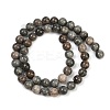 Natural Gemstone Beads Strands G-F792-C11-06-3
