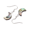 Natural Abalone Shell/Paua Shell Dangle Earring EJEW-JE05916-02-4