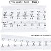 Steel Hook Buckles FIND-WH0082-91B-2