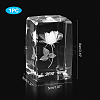Transparent Glass Display Decorations DJEW-WH0010-40-2