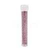 Plastic Glitter Powder Fillers AJEW-H144-01D-2
